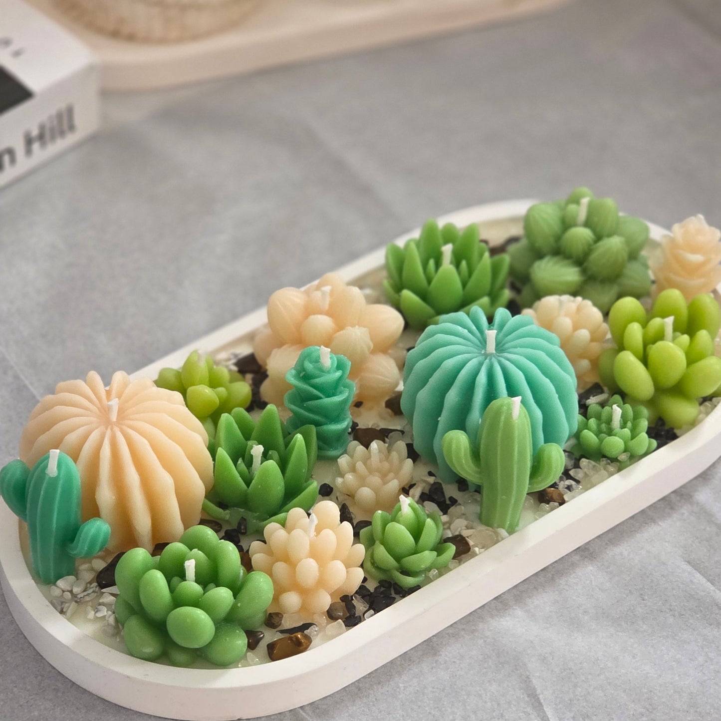 Desert Bloom